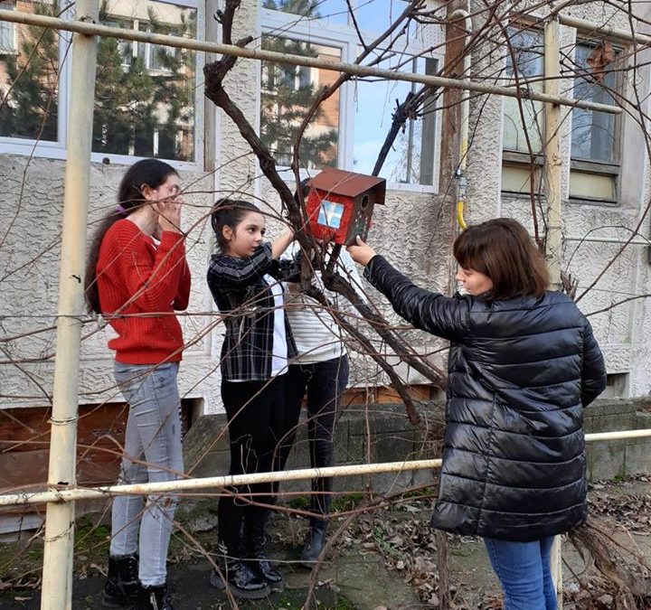 Școală prietenoasă cu natura