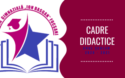 Profesori diriginți clasele V-VIII